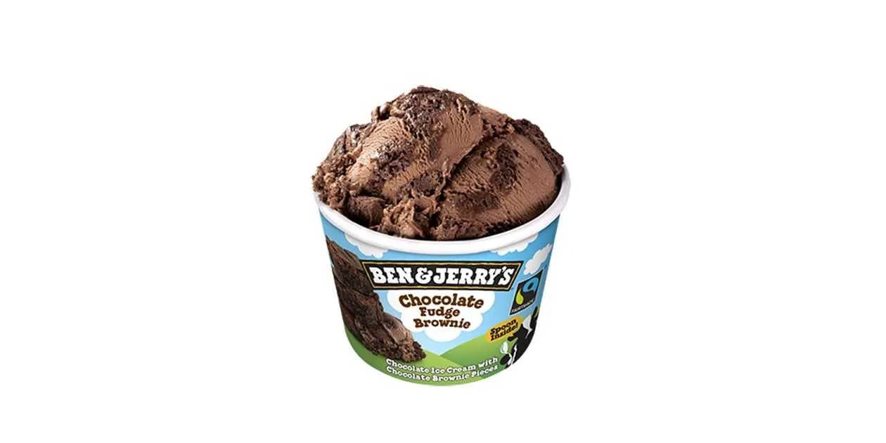 Ben & Jerry's Chocolate Fudge Brownie 100 ml