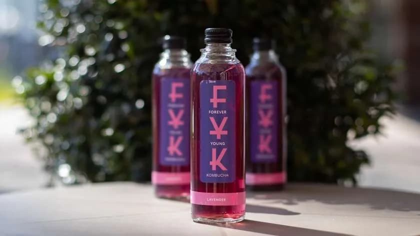 Kombucha o smaku Lavendowym