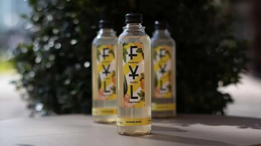 Kombucha o smaku Ginger Beer