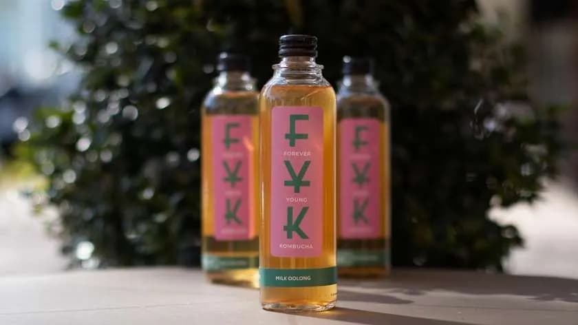 Kombucha o smaku Milk Oolong