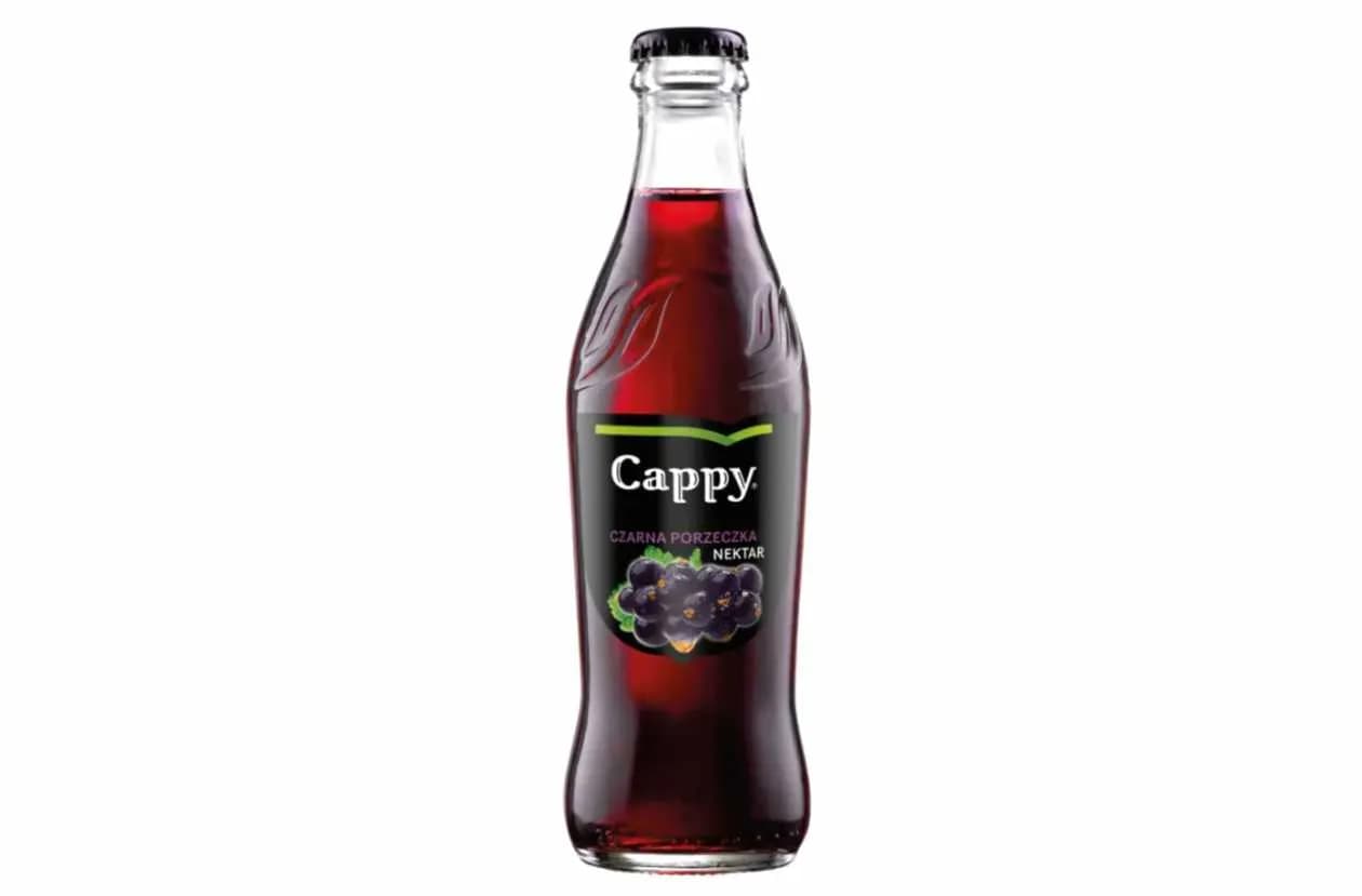 Sok cappy porzeczkowy 250 ml