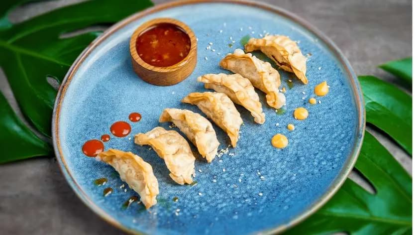 Japońskie pierogi (kurczak & warzywa)