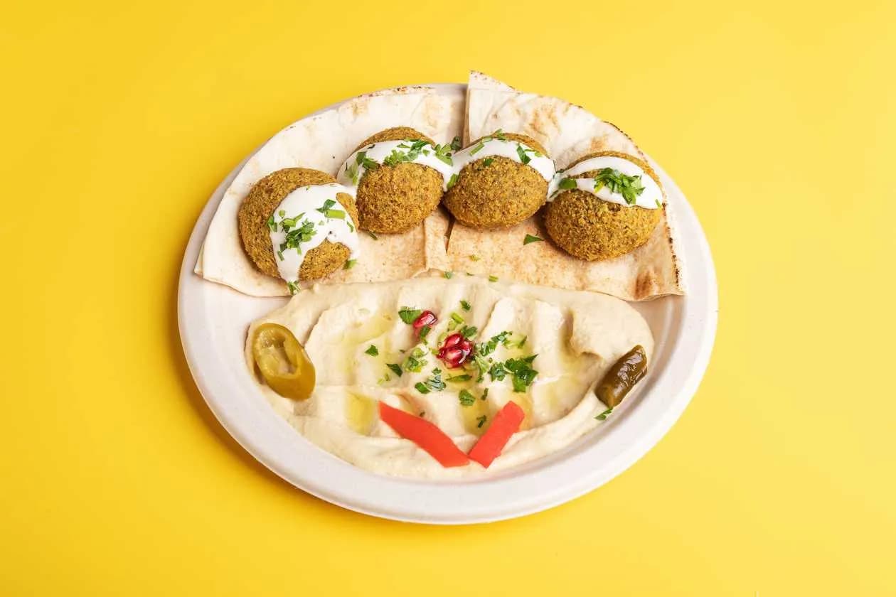 Falafel Dish with Pita