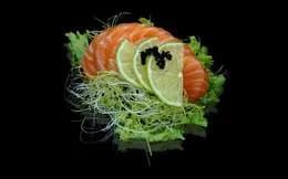 Sashimi Salmon