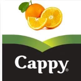 Cappy Sok pomarańczowy 0,25l
