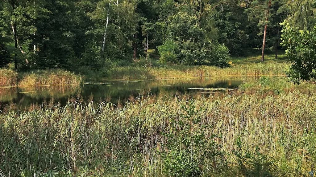 Restauracja Pod Sosenką