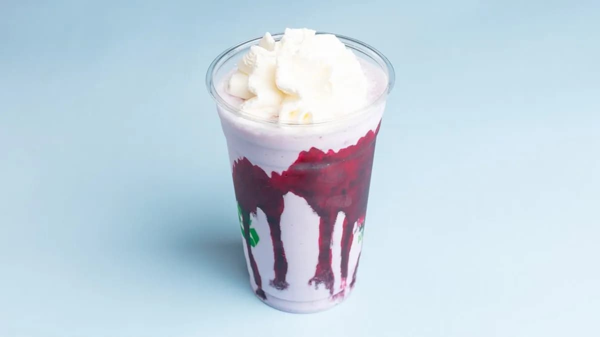 Ice Cream Shake Yogurt Blueberry 0,5l