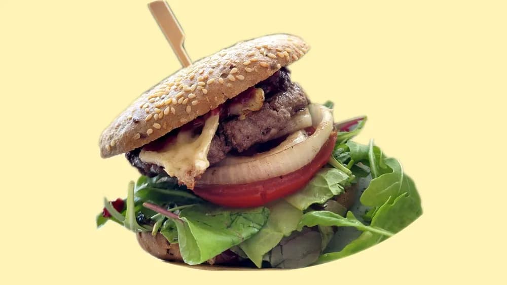 Purna Cranberry Burger