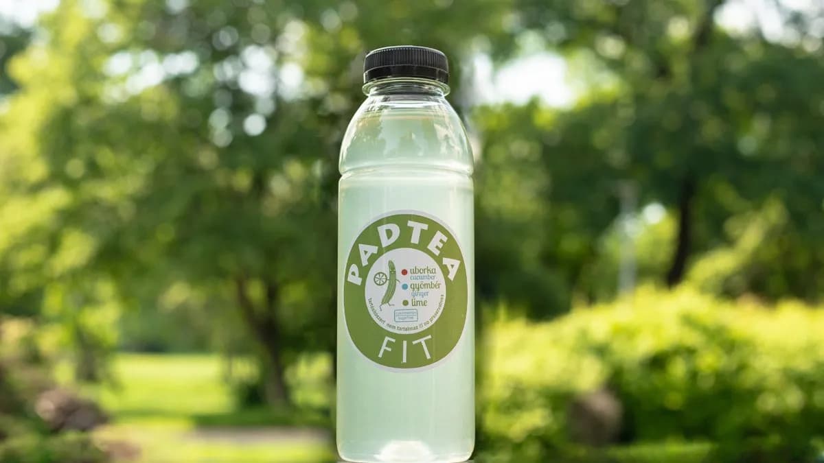 PADTEA Fit