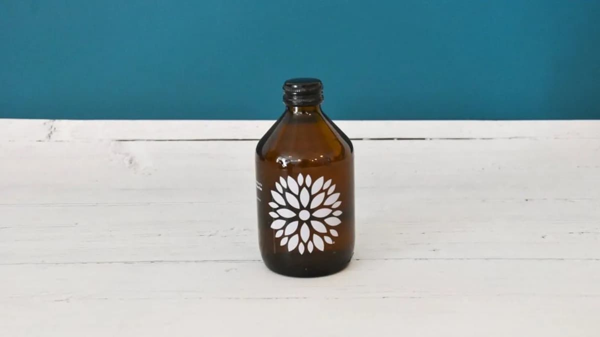 Kombucha Bio Acerola Ginger