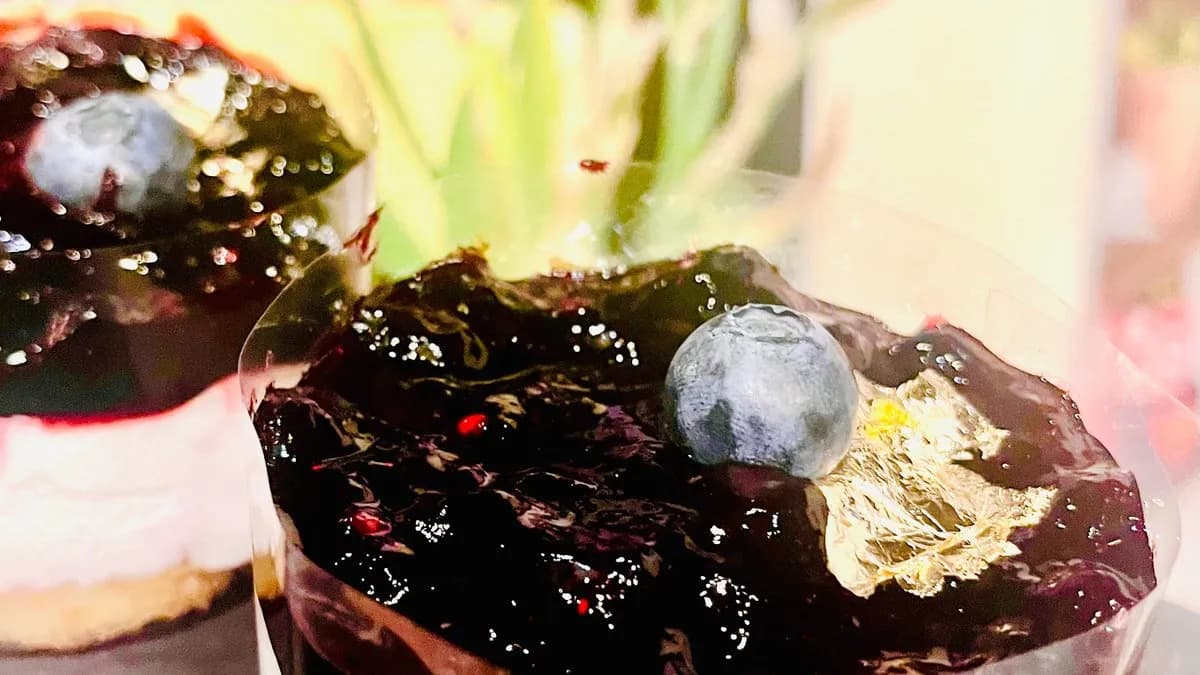 Áfonyás kókusztorta (glutén, cukor és laktózmentes)