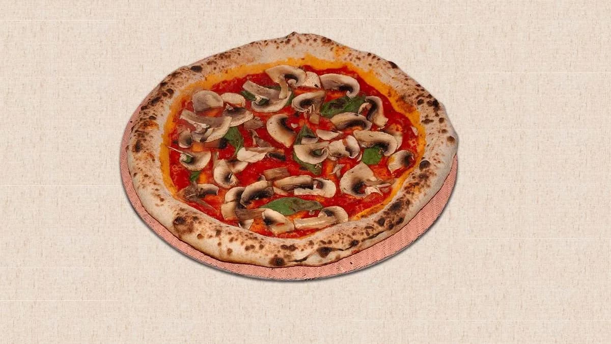 FUNGHI (GOMBÁS - MUSHROOM) 🍄