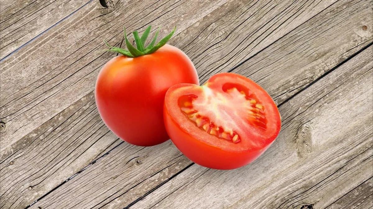 Paradicsom