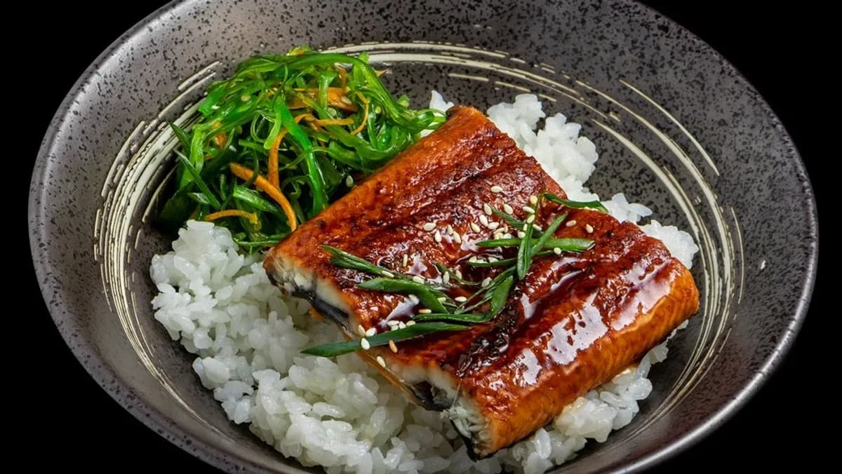 Unagi don