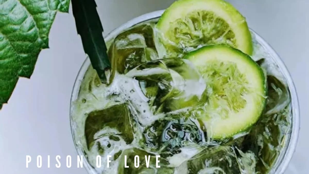 C6 POISON OF LOVE (SIZE M)