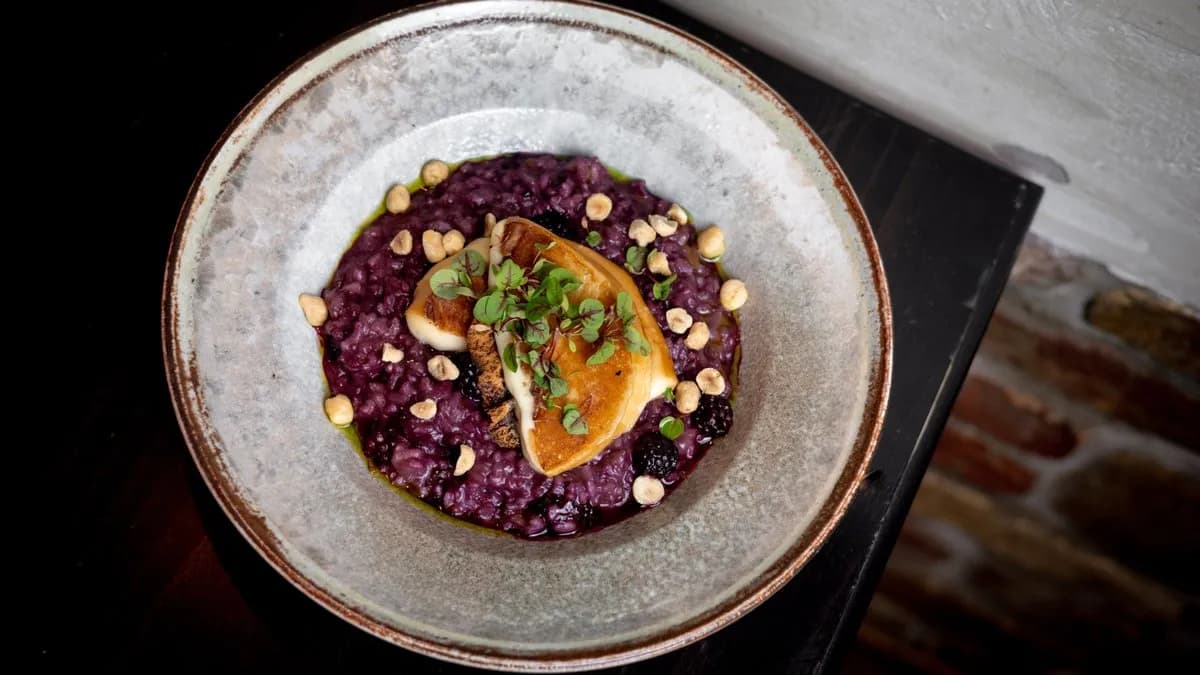 Szedres rizottó grillezett füstölt scamorza sajttal