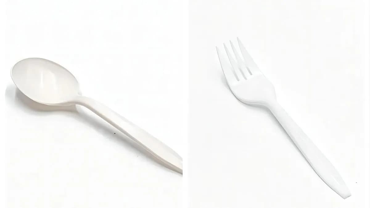 Fork and Spoon