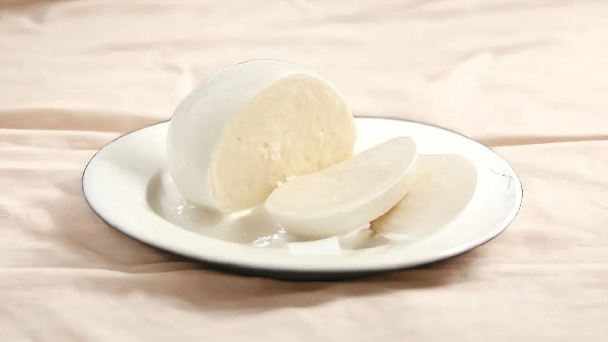 Buffala mozzarela