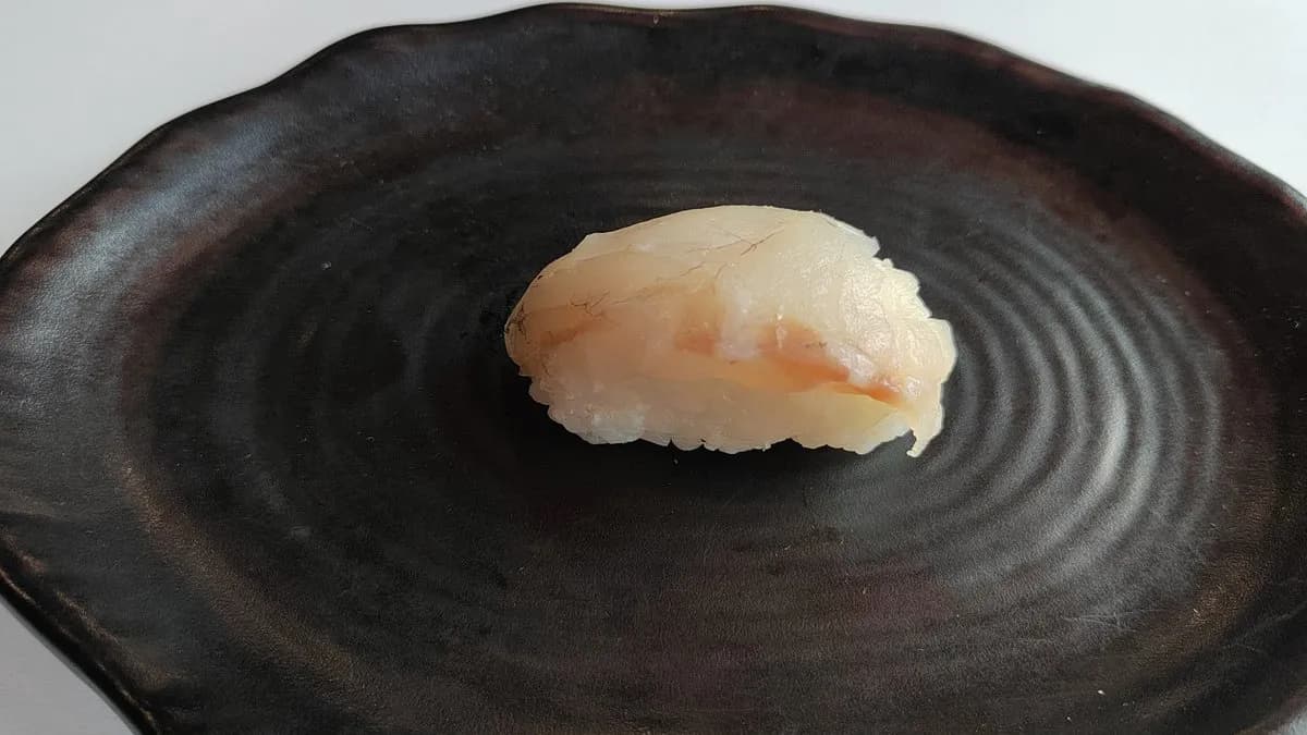 Tengeri sügér nigiri