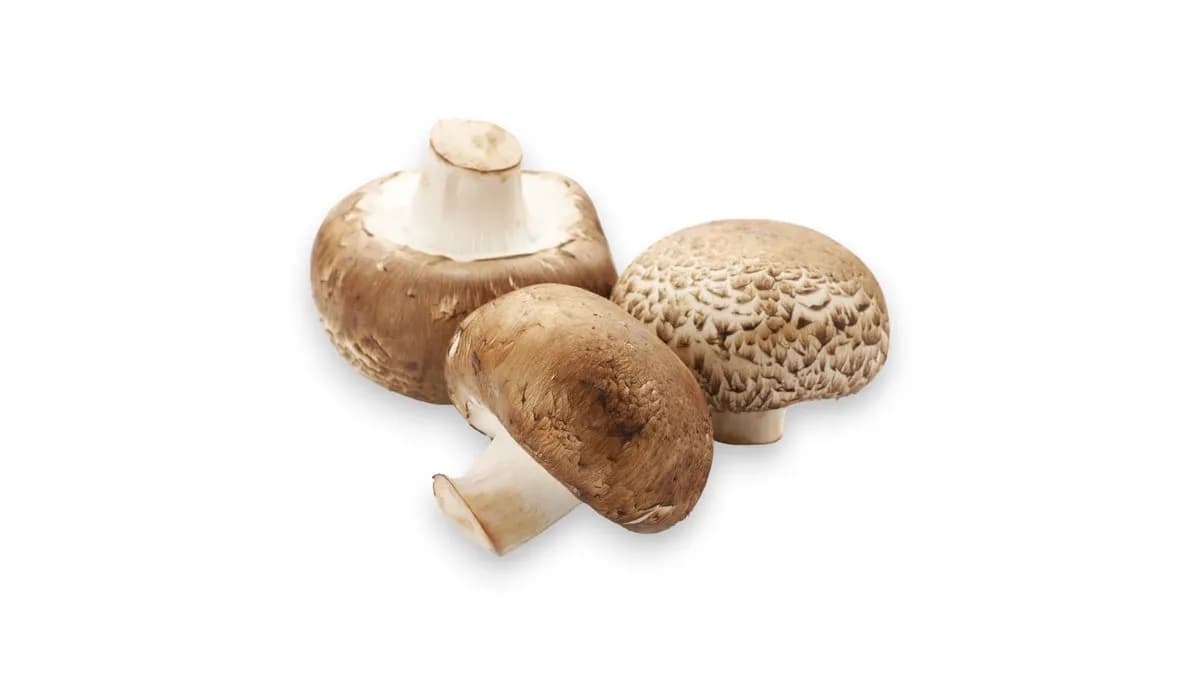 Gomba