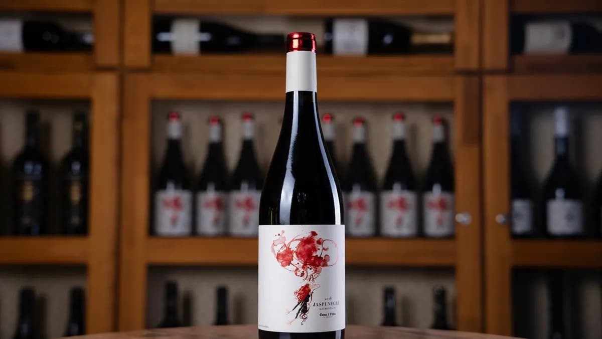 Coca i Fitó - Jaspi Negre 2018