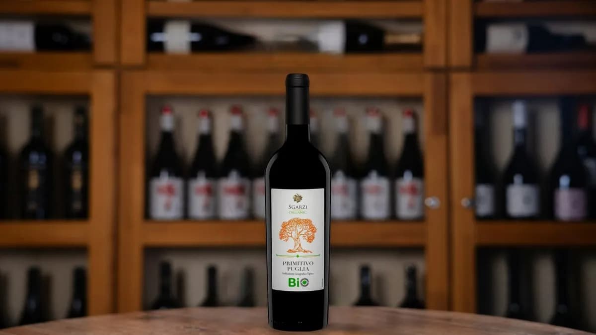 Cantine Sgarzi - Primitivo IGT 2020