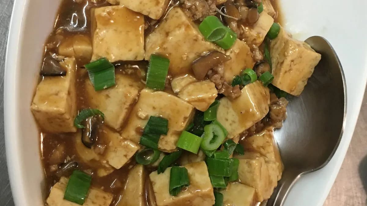 L02 Szójaszószos Tofu 红烧豆腐