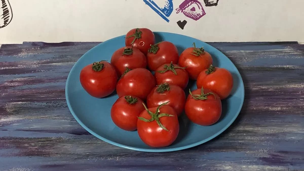 Paradicsom 100%  3dl