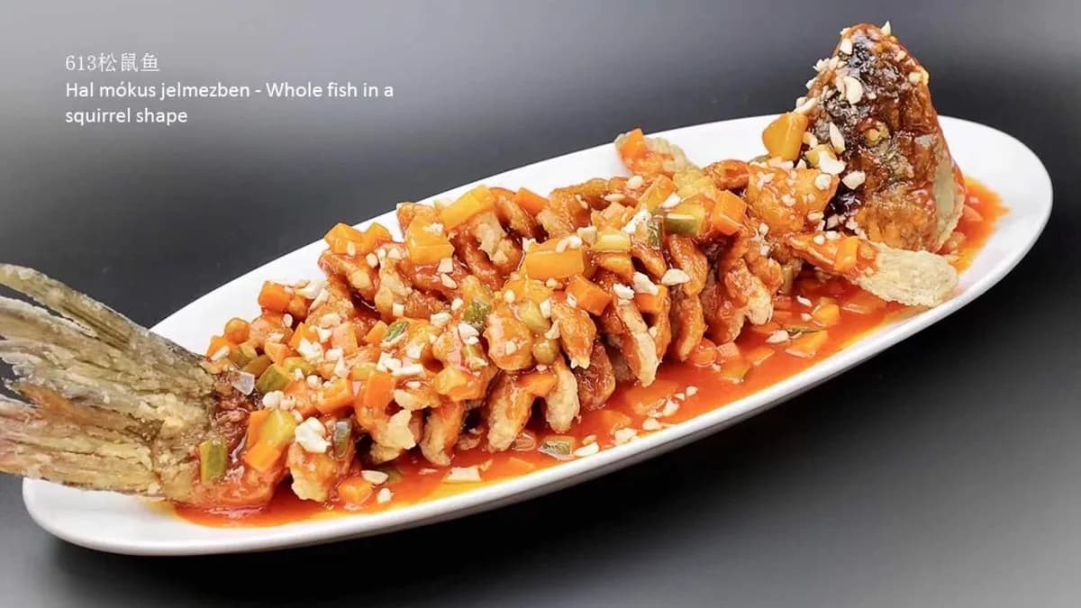 613 Ponty mókus jelmezben 松鼠鱼