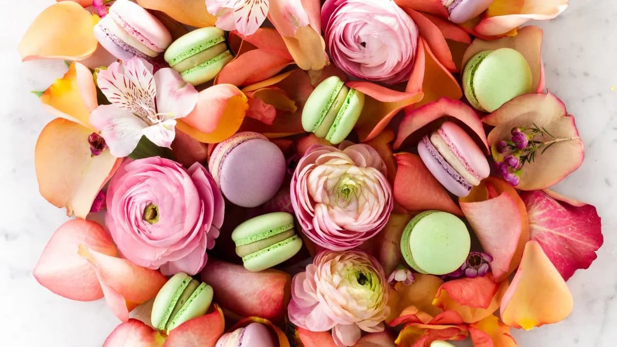 MÁLNA - LIME MACARON