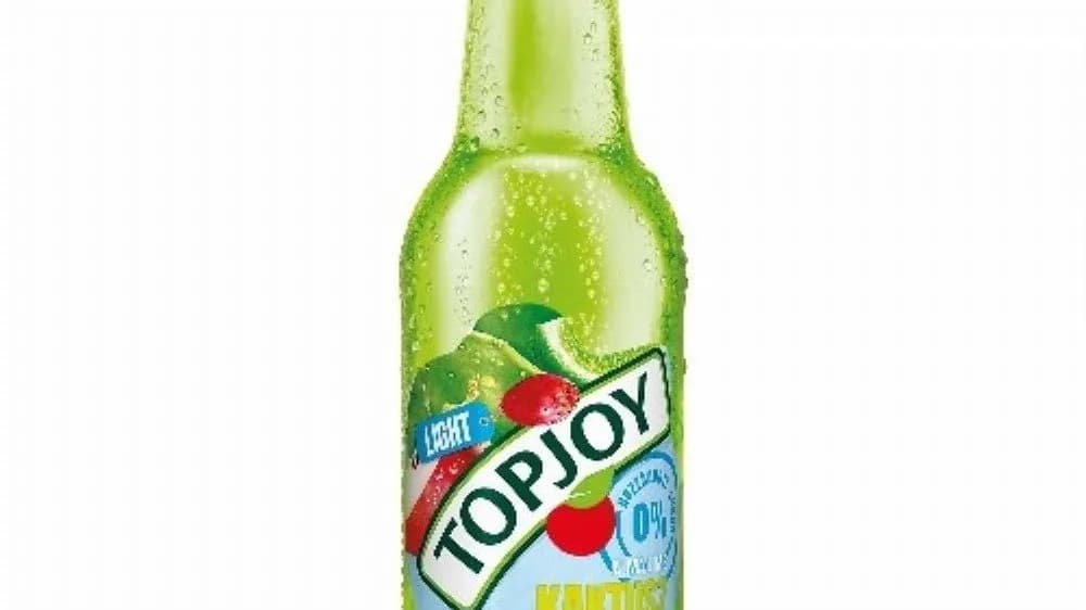 TOPJOY kaktusz light