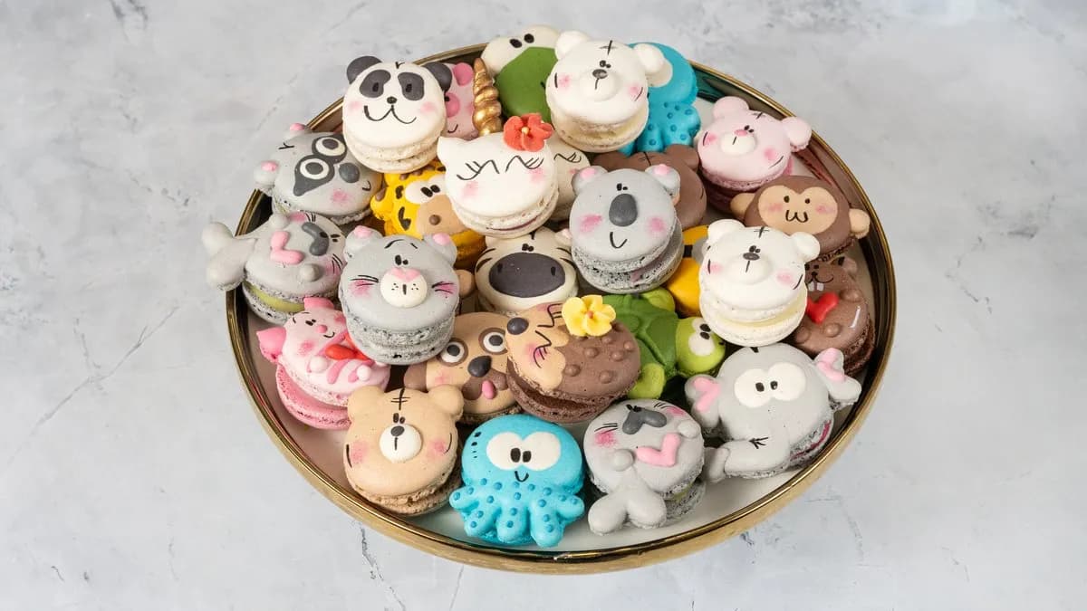 Figura macaron válogatás - 20 darabos - díszdobozban