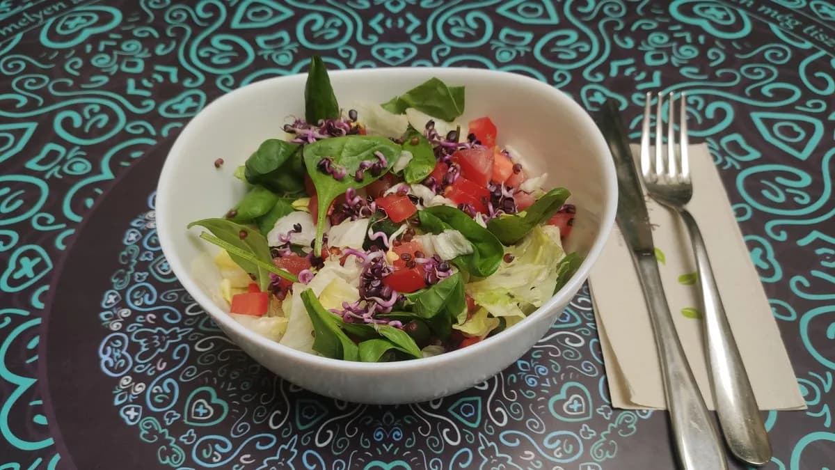 Friss saláta 1