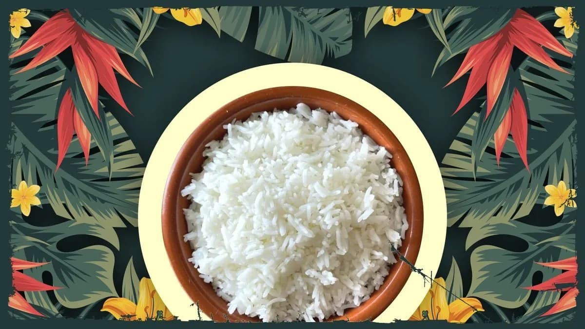 ARROZ BLANCO / Fehér Rizs