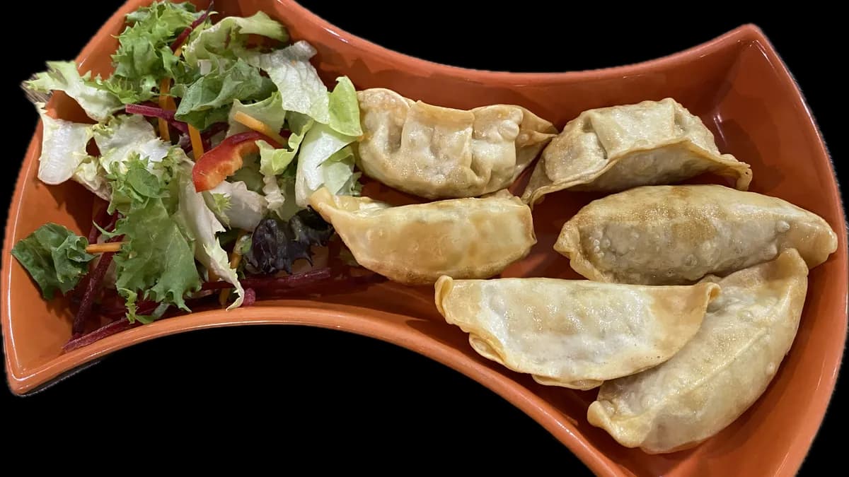 VEGA GYOZA