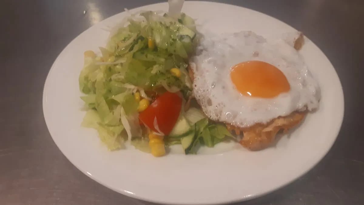 Holstein csirke steak
