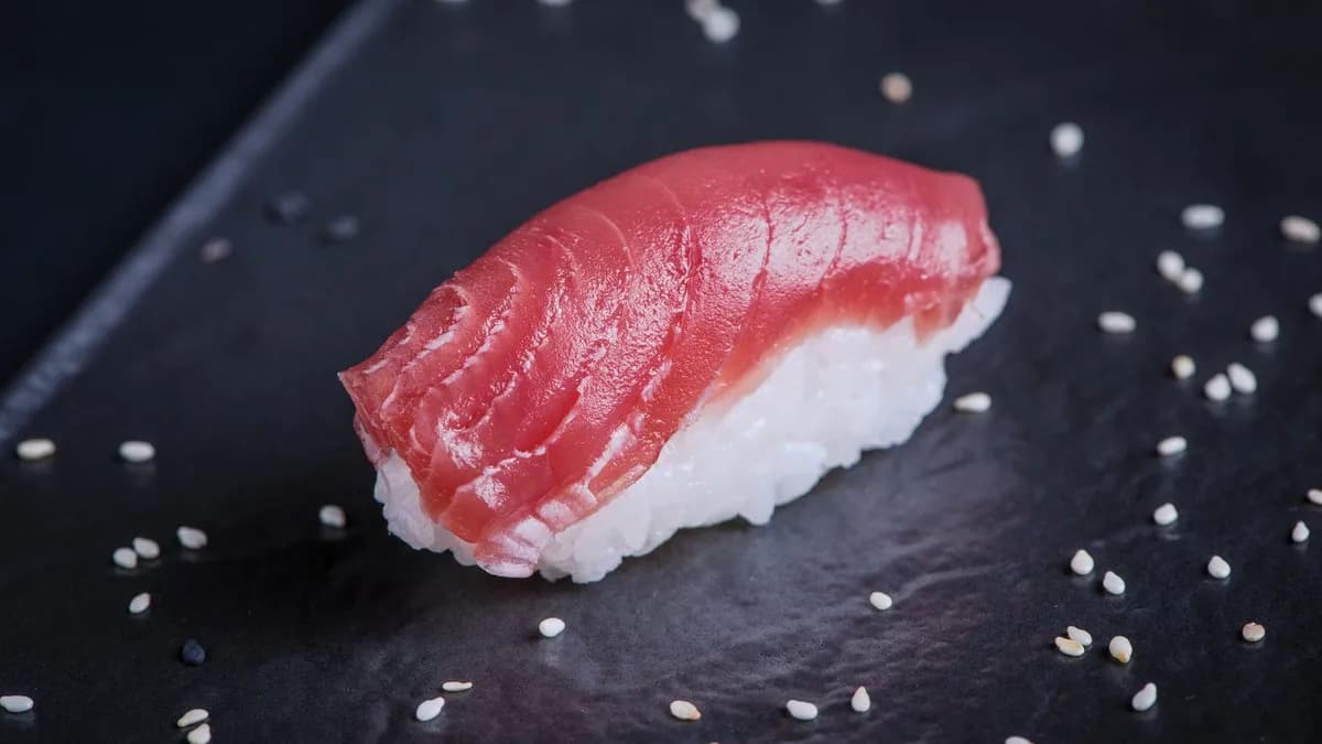 MAGURO nigiri