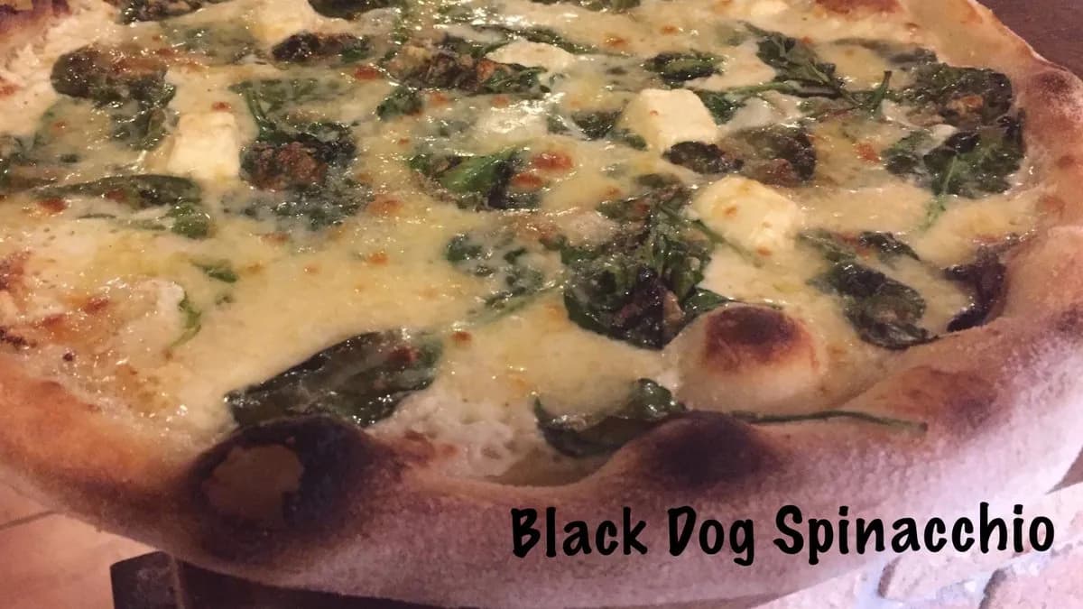 Black Dog Spinacchio