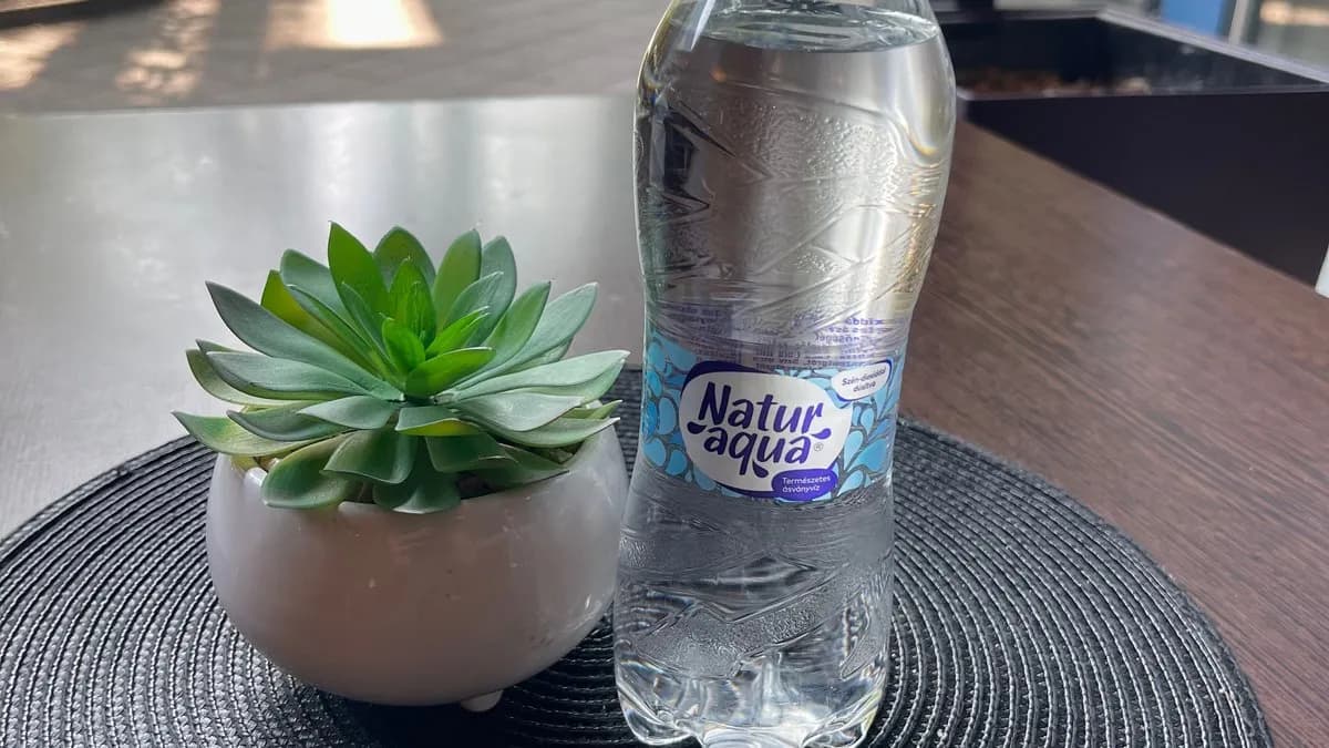 Naturaqua 0,5 L-es Savas Víz