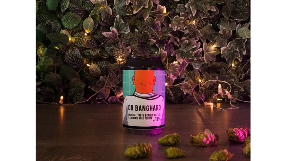 Reketye Dr. Banghard Porter-330ml