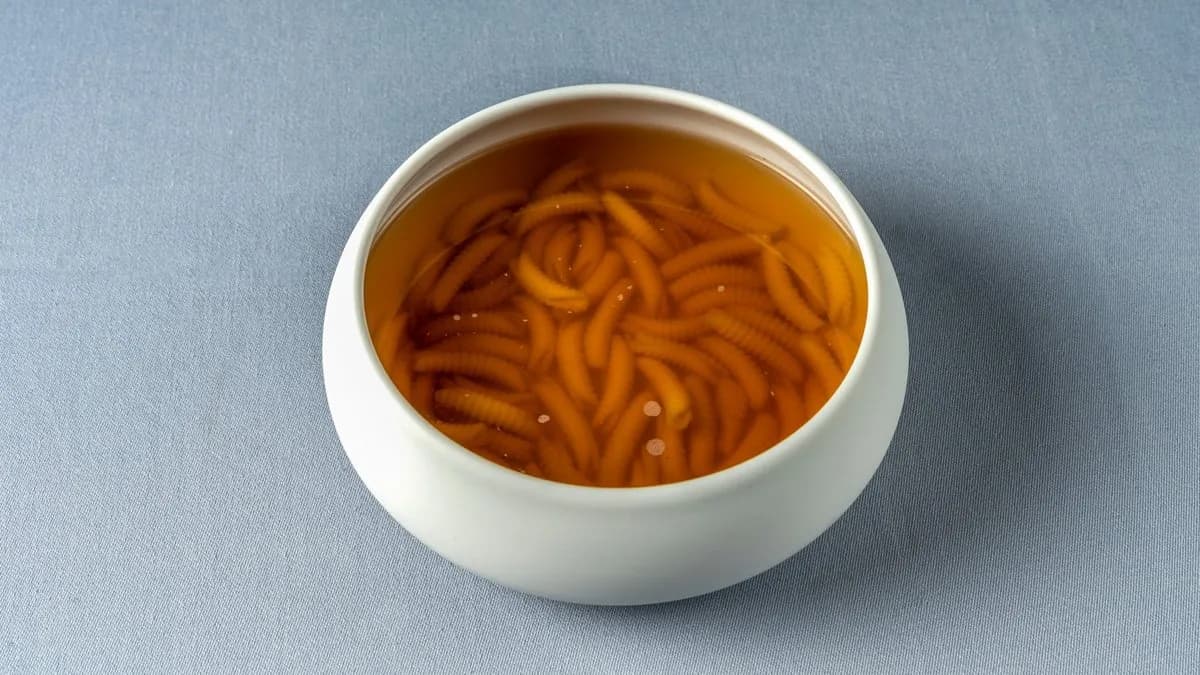 Húsleves tésztával