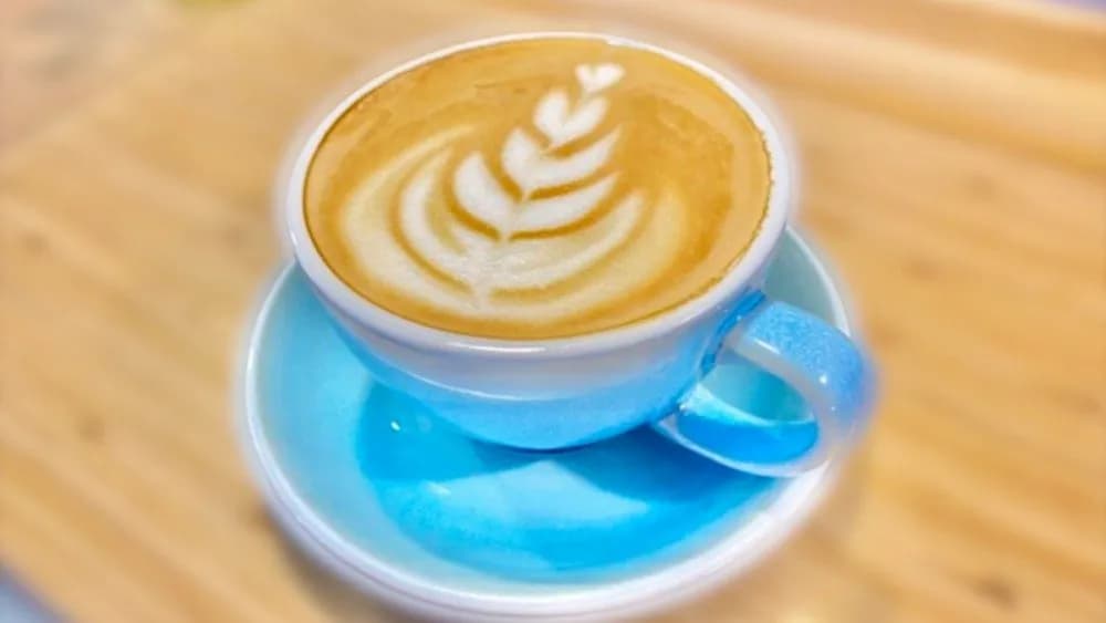 Capuccino