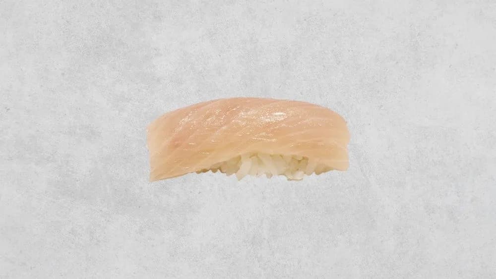 Nigiri - żółta płetwa