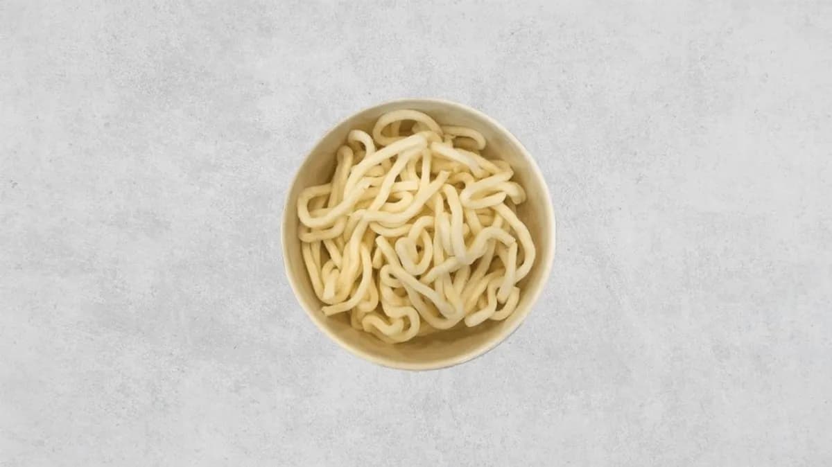 Makaron udon