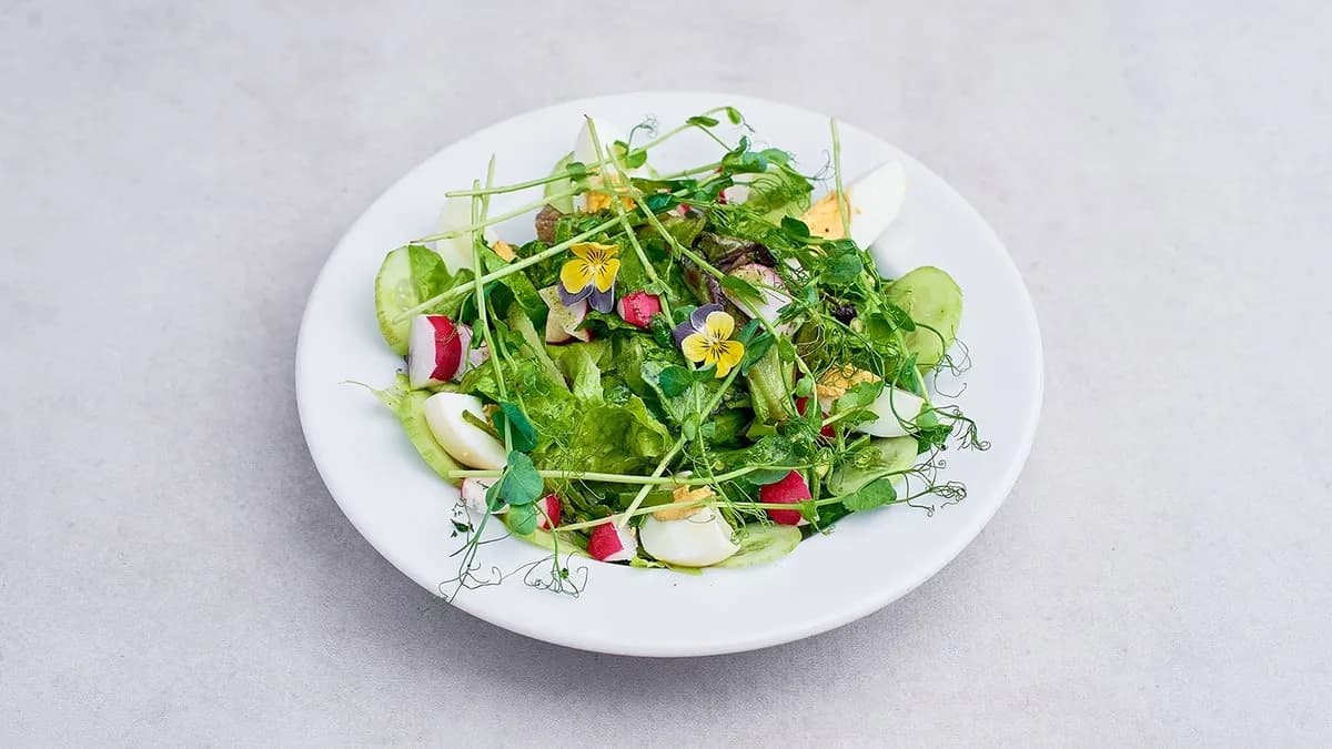 Sałatka wiosenna z jajkiem