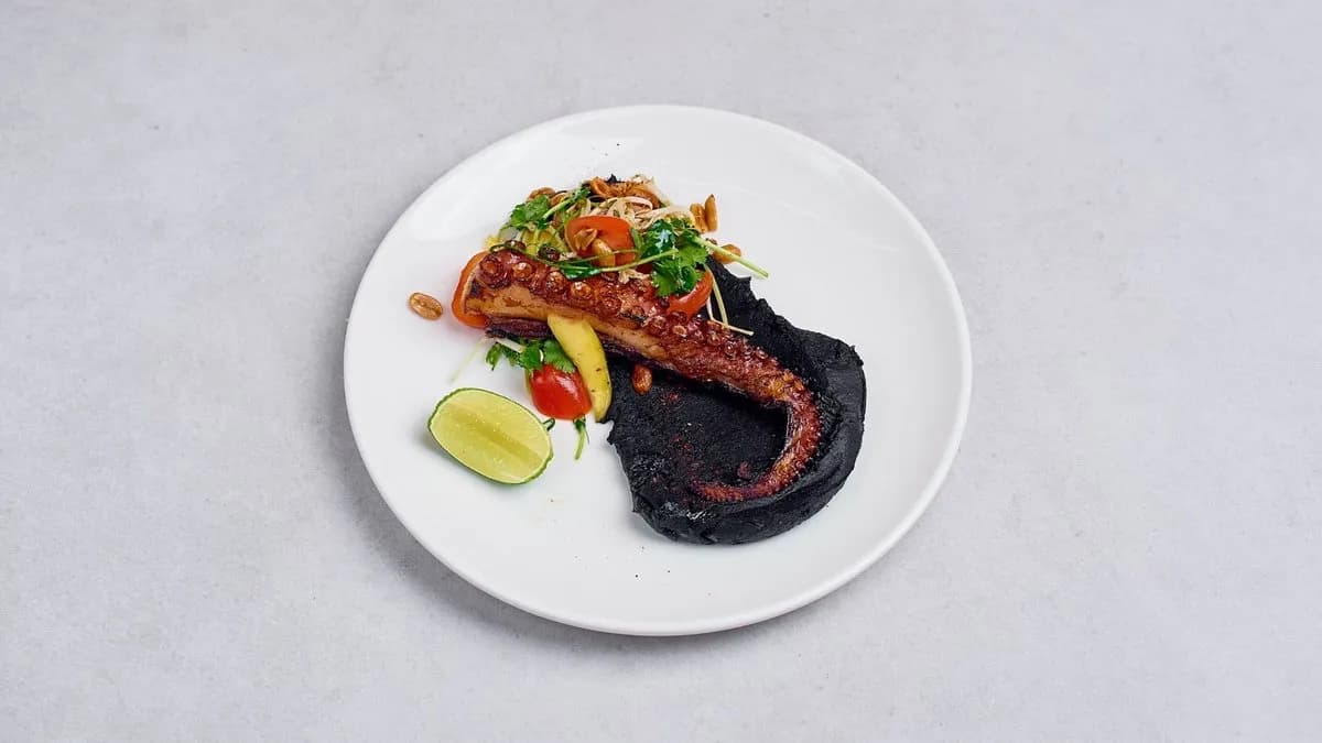 Macka ośmiornicy ⭐️