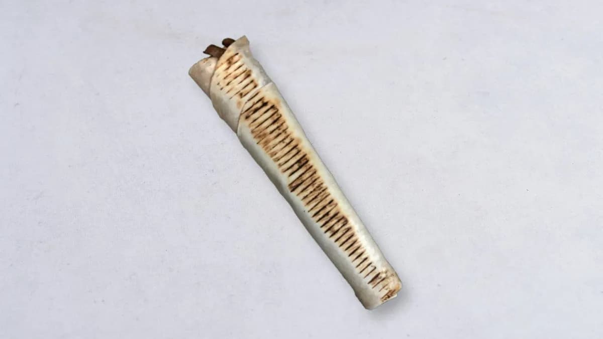 Kebab amerykański z frytkami duży