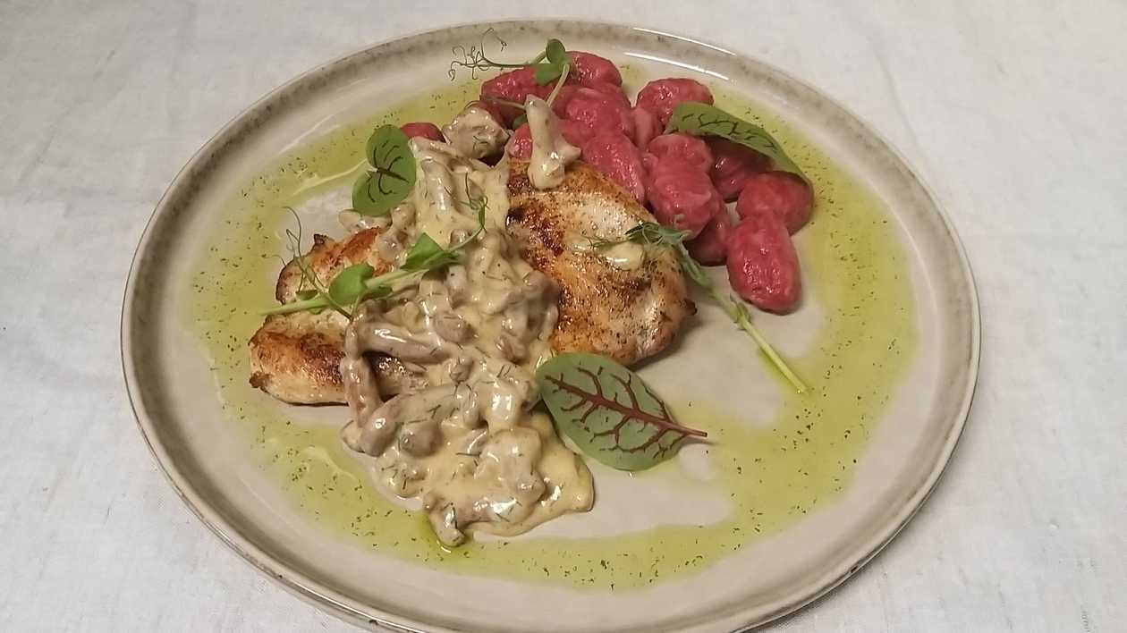 Chicken breast in chanterelle sauce