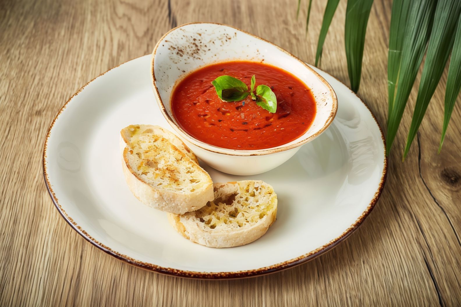 Crema di pomodoro e basilico
