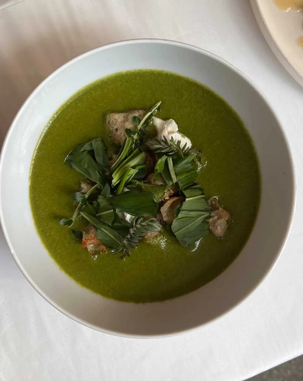 Krem z czosnku niedźwiedziego z ricottą i grzankami z ekologicznego chleba